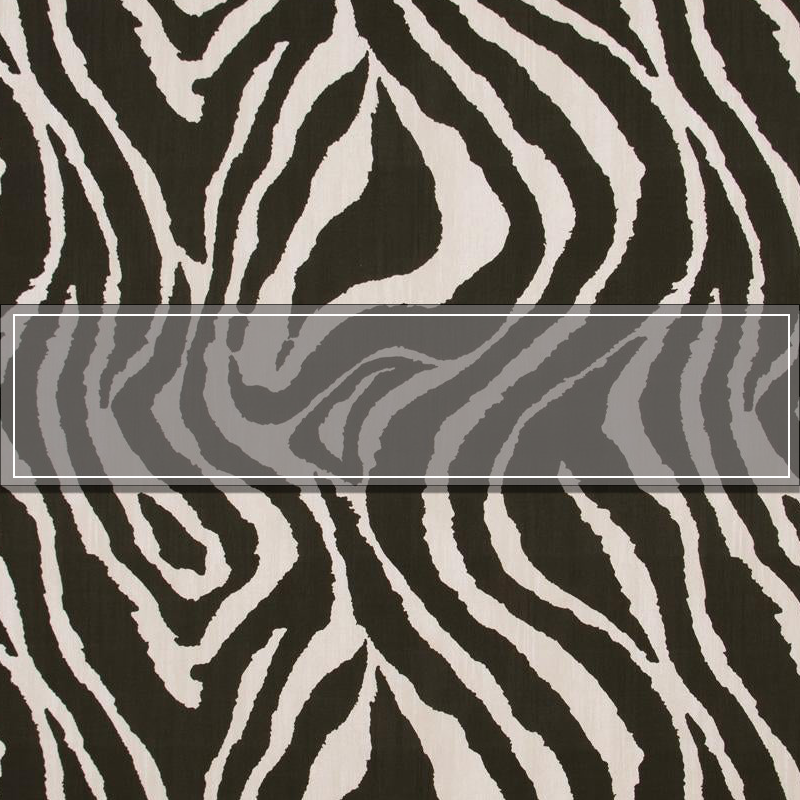 Jungle Safari