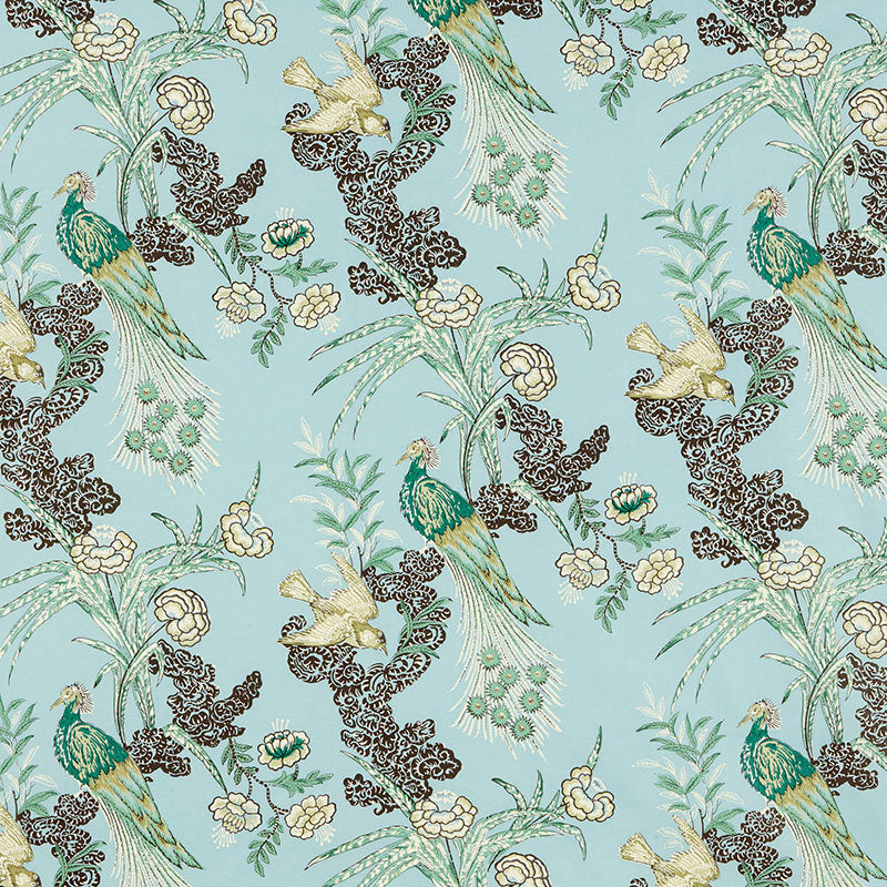 PEACOCK AQUA