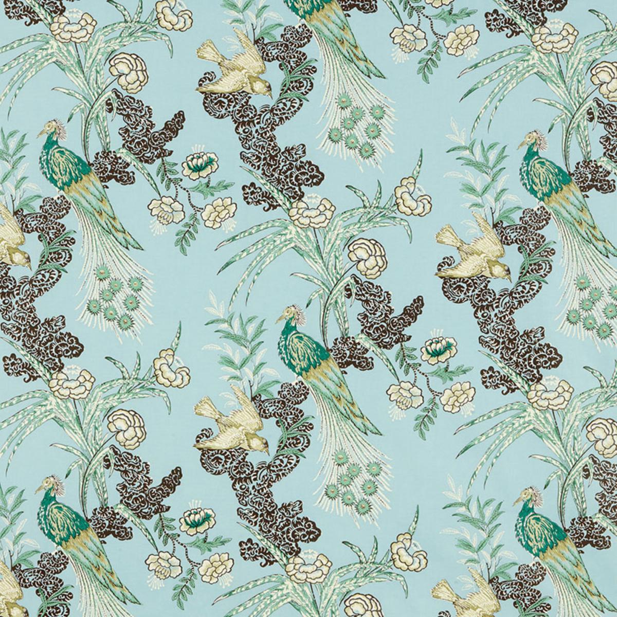PEACOCK AQUA