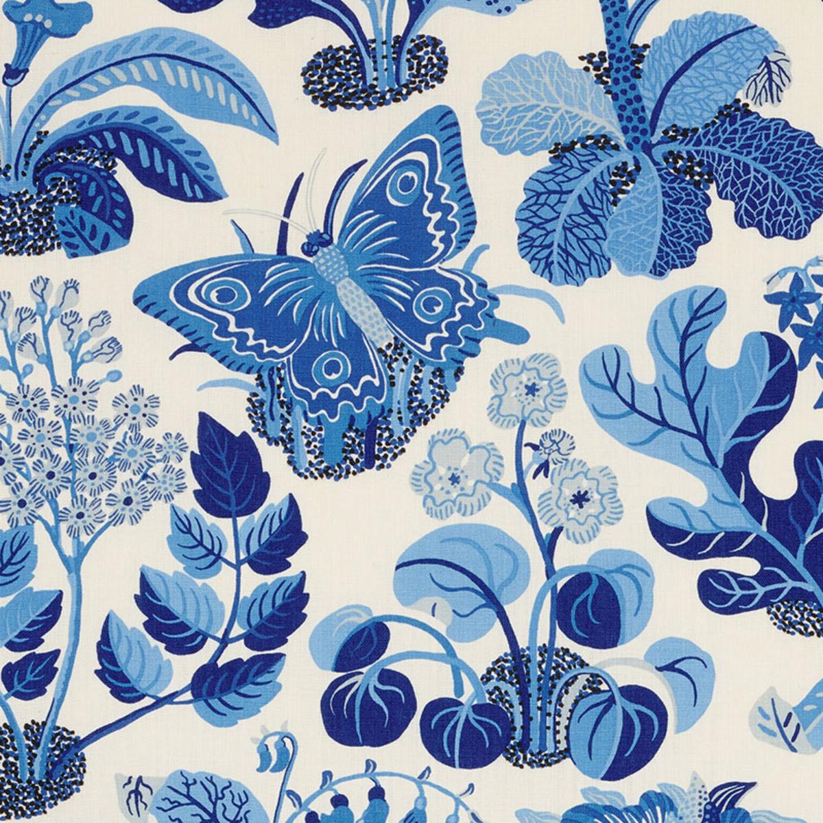 EXOTIC BUTTERFLY MARINE