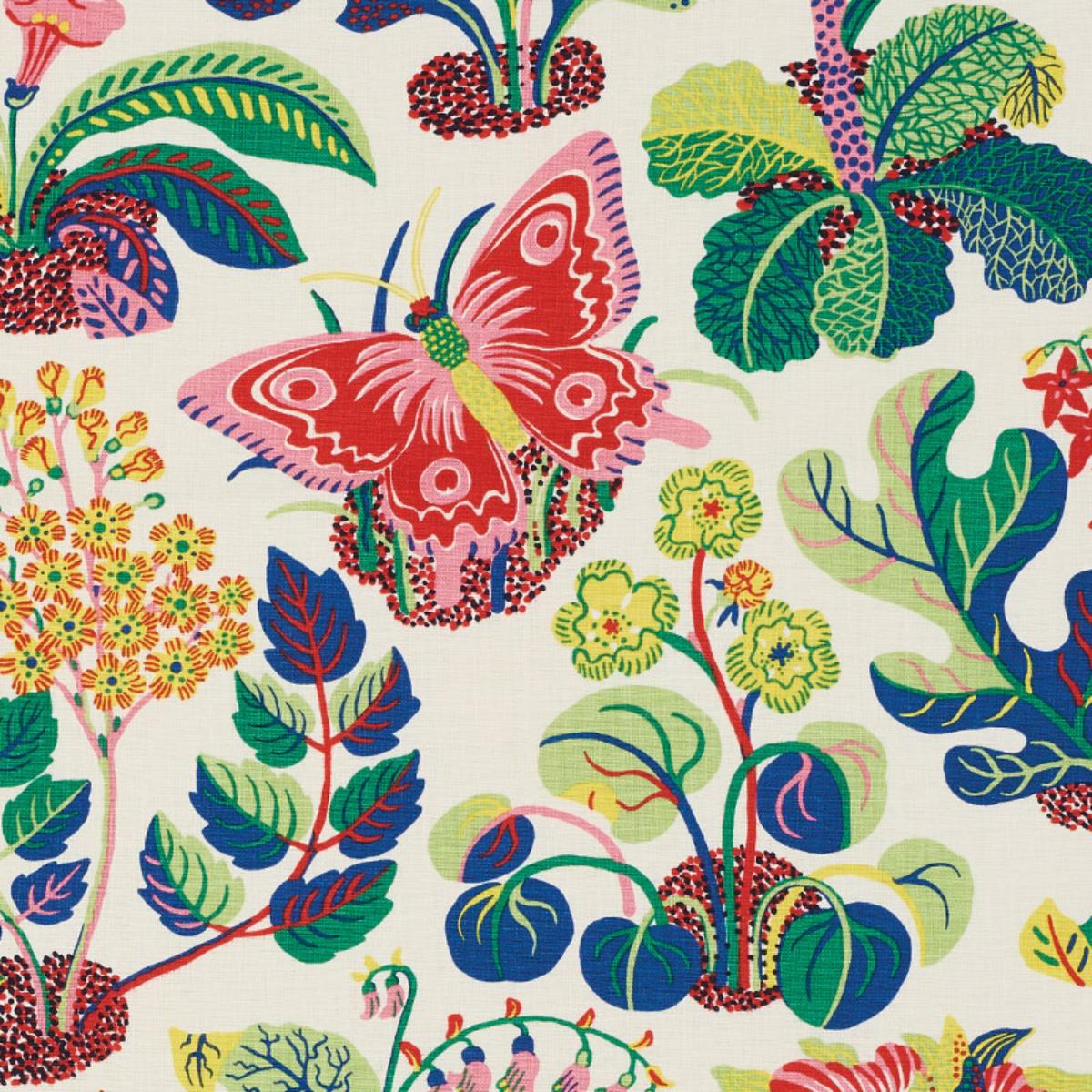 EXOTIC BUTTERFLY SPRING