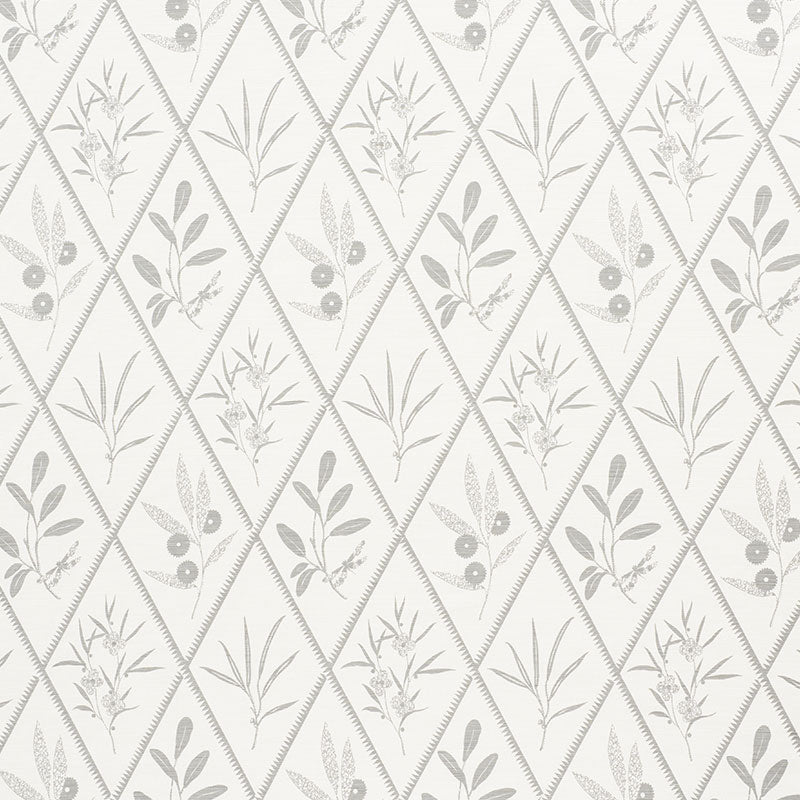 ENDIMIONE GREY