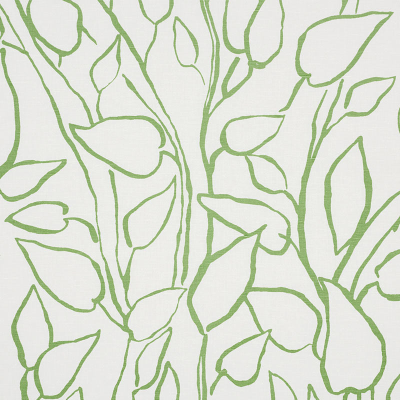 SOLANDRA VINE LEAF