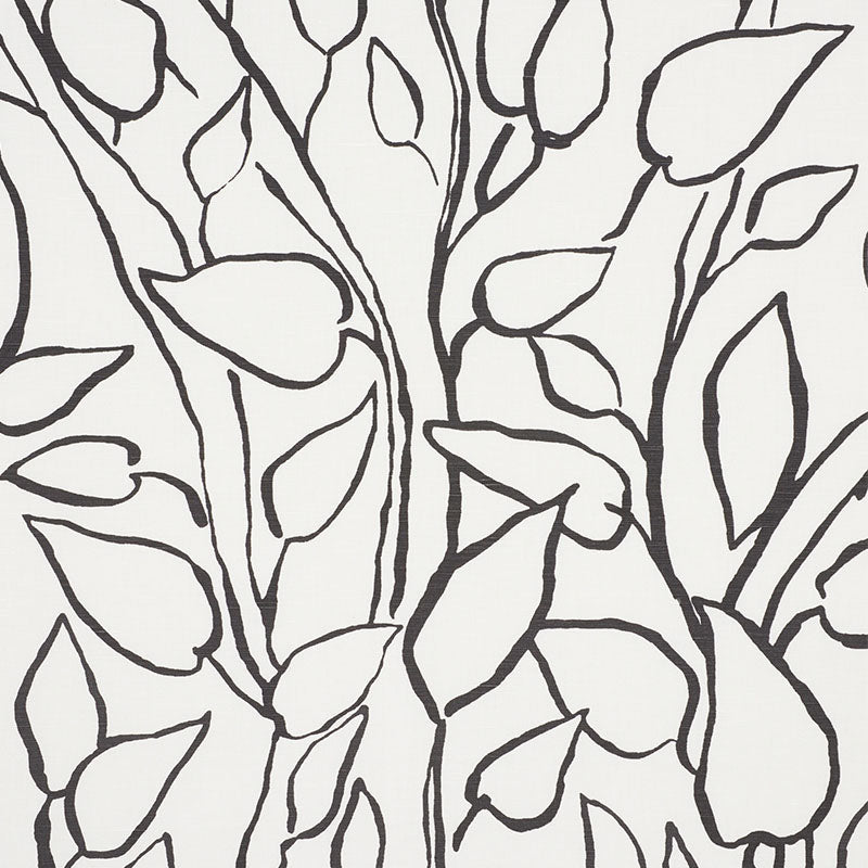 SOLANDRA VINE BLACK