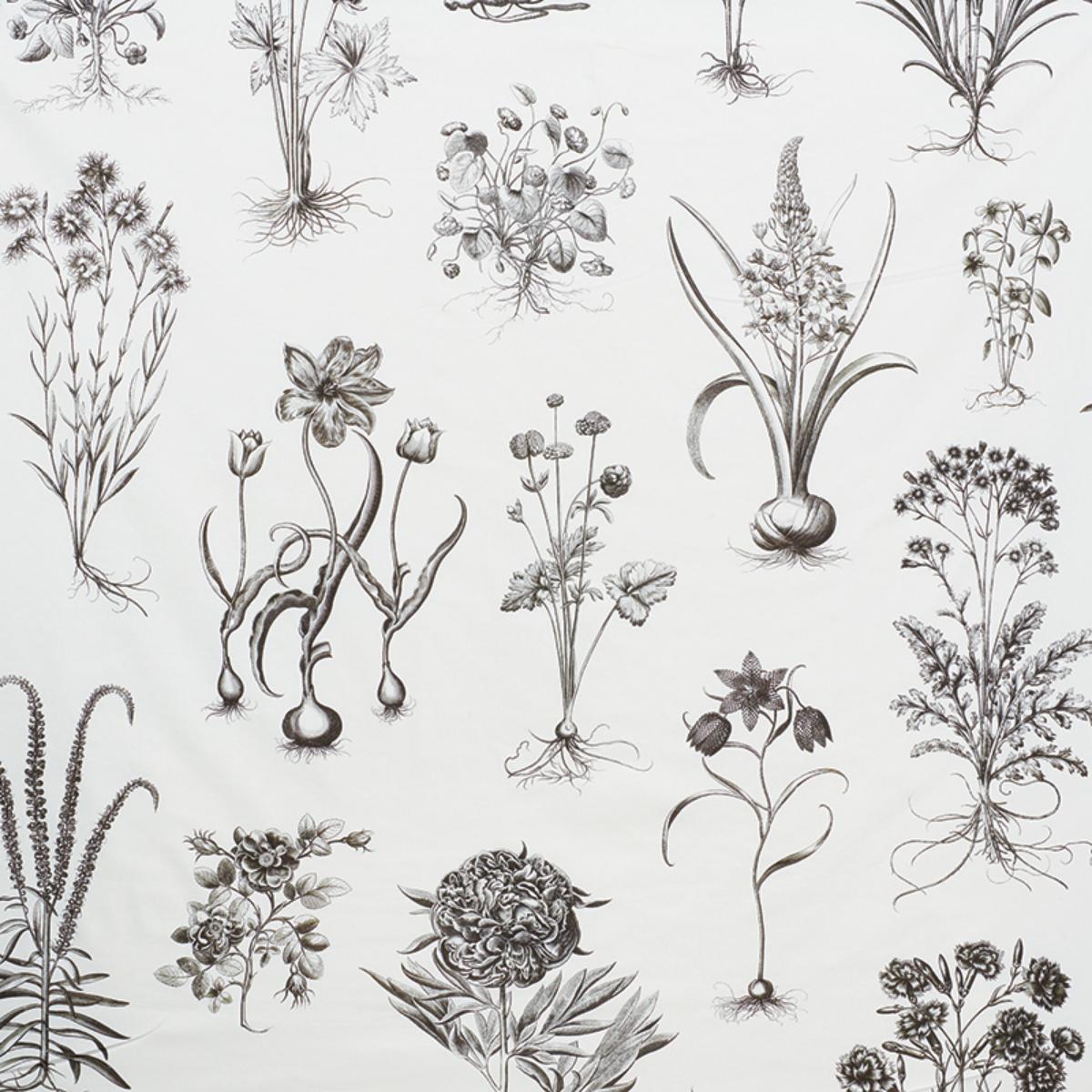 CABOT BOTANICAL LARGE IVORY