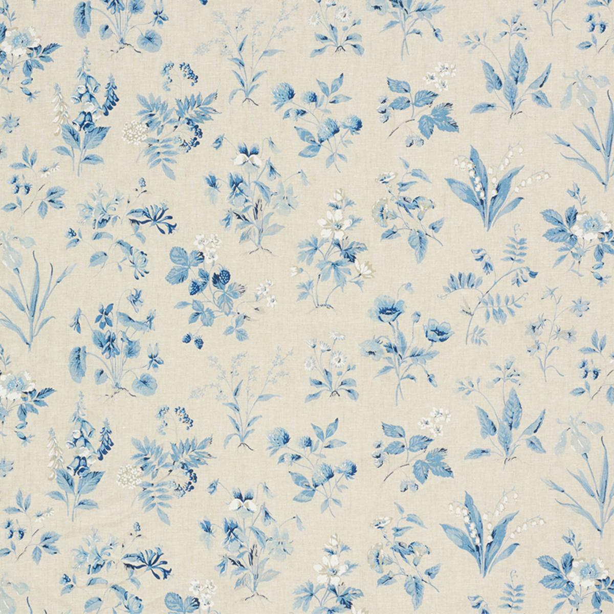FLOREANA BLUE