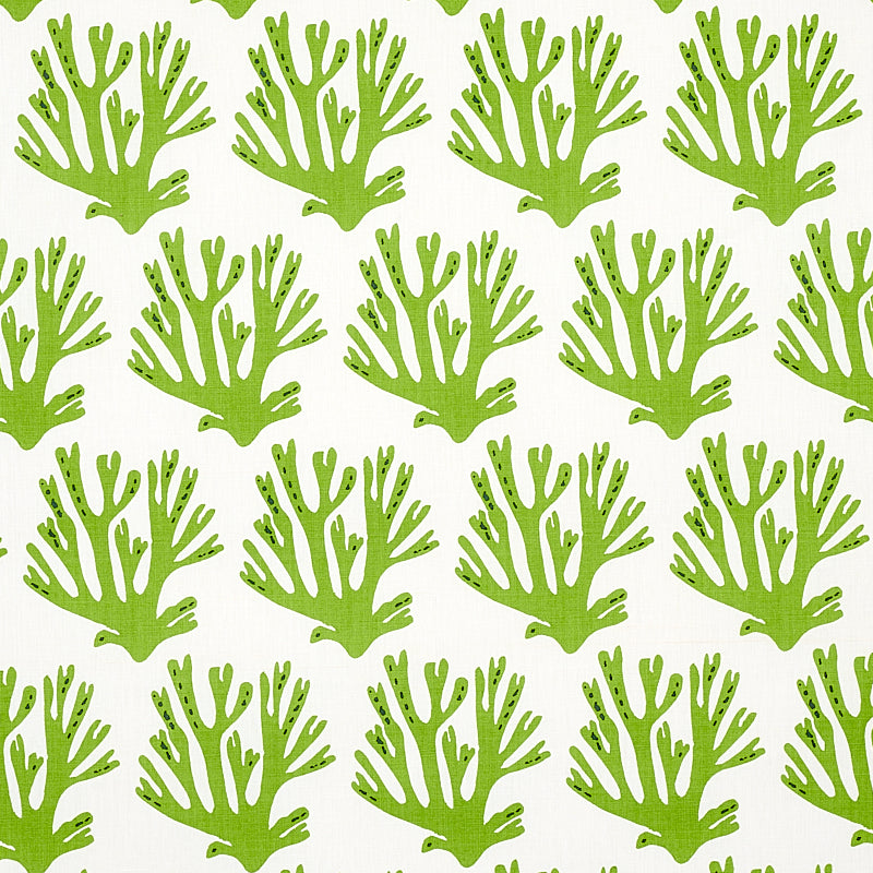 CORAL GREEN