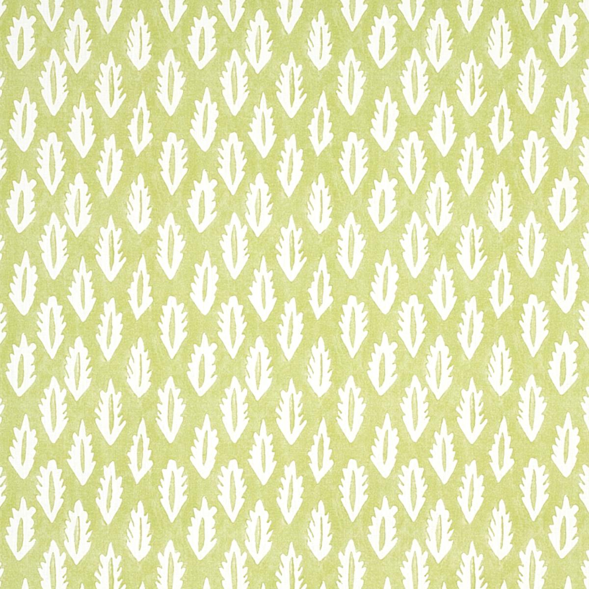FOREST GRASS GREEN