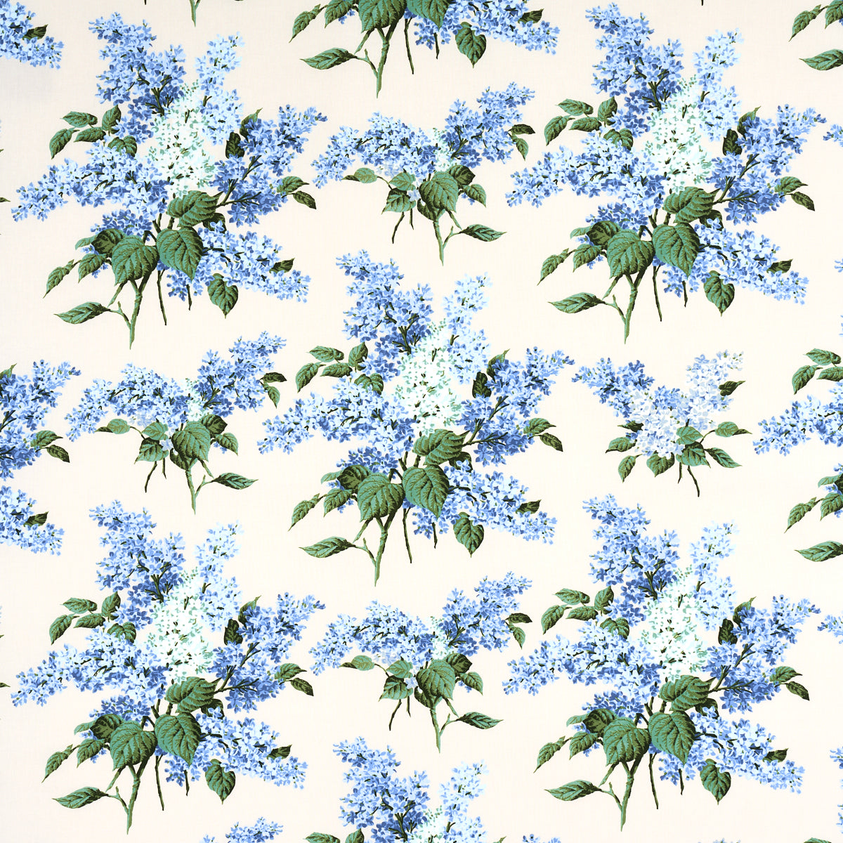 PROUST'S LILACS BLUE