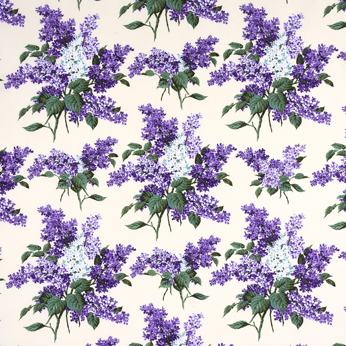 PROUST'S LILACS PURPLE