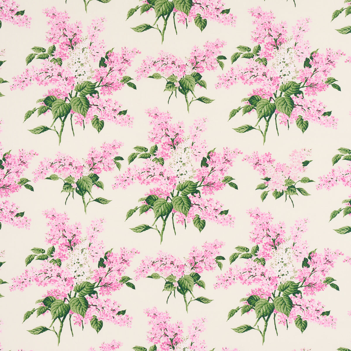 PROUST'S LILACS PINK