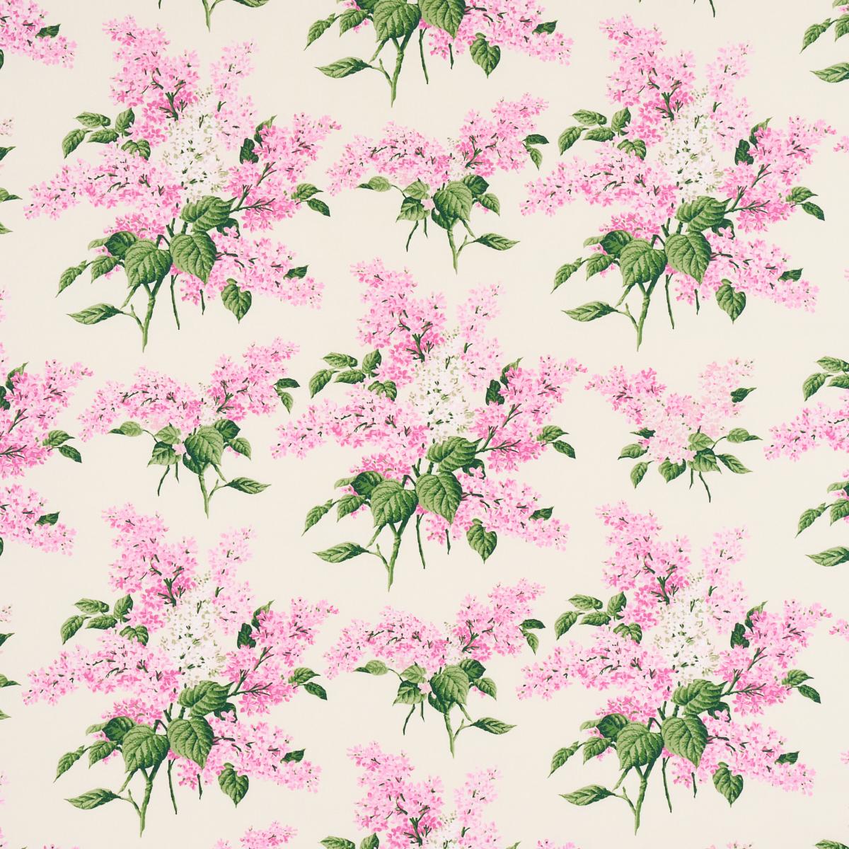 PROUST'S LILACS PINK