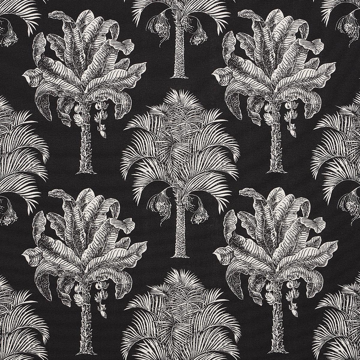 GRAND PALMS INDOOR/OUTDOOR BLACK