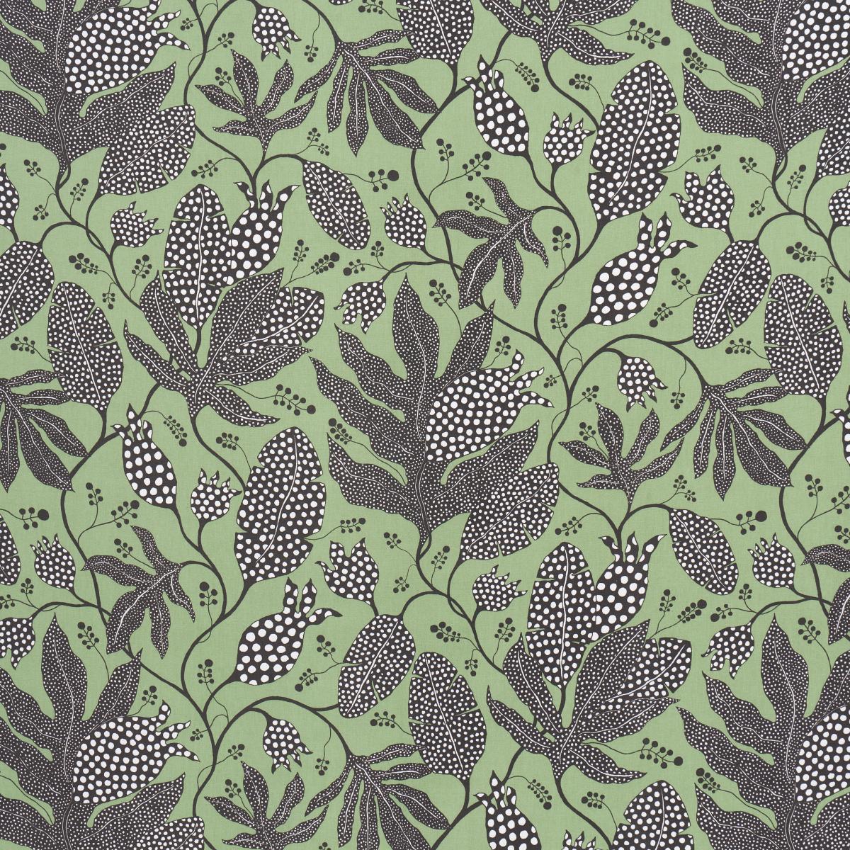 POLKA DOT JUNGLE BLACK & GREEN
