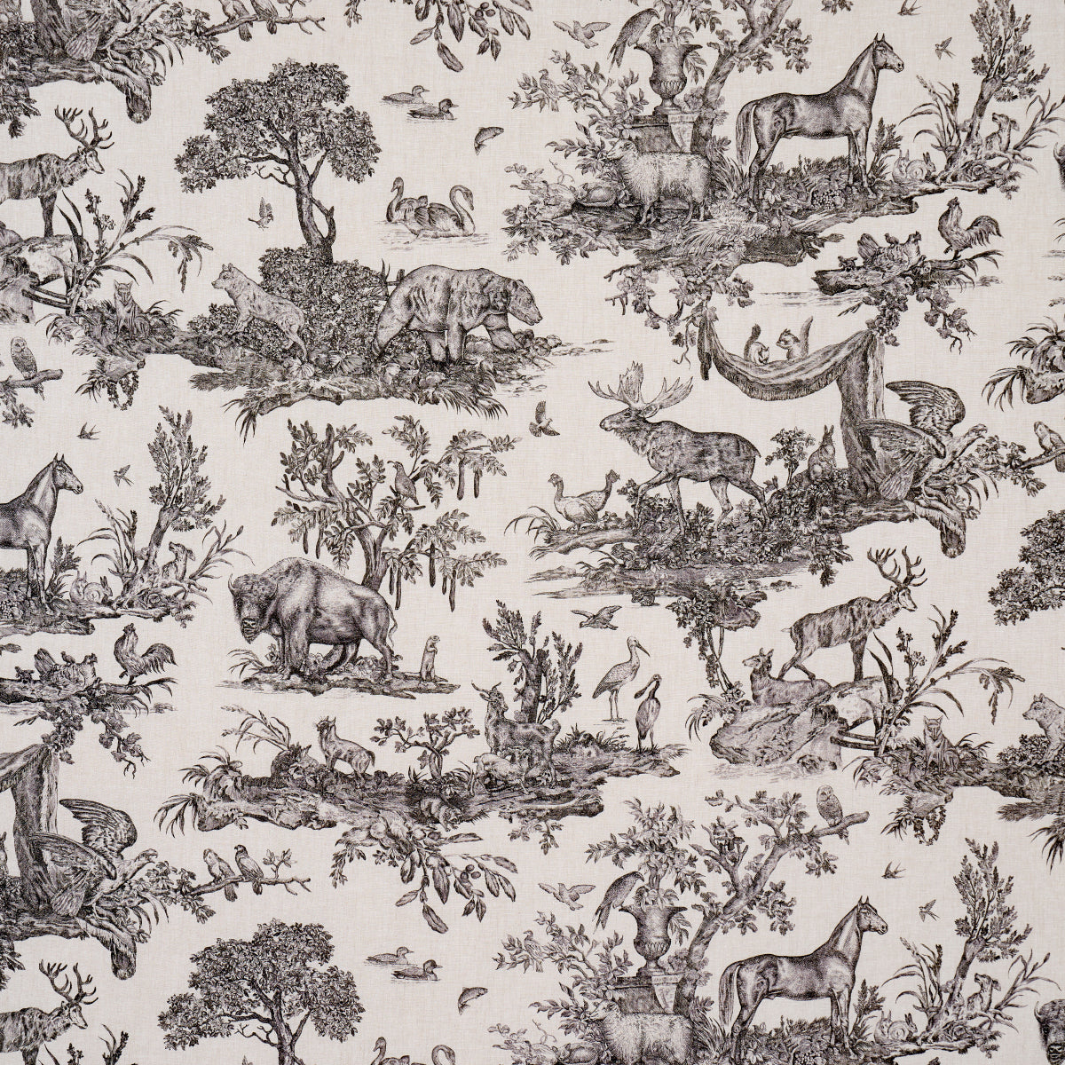 Western Toile Carbon