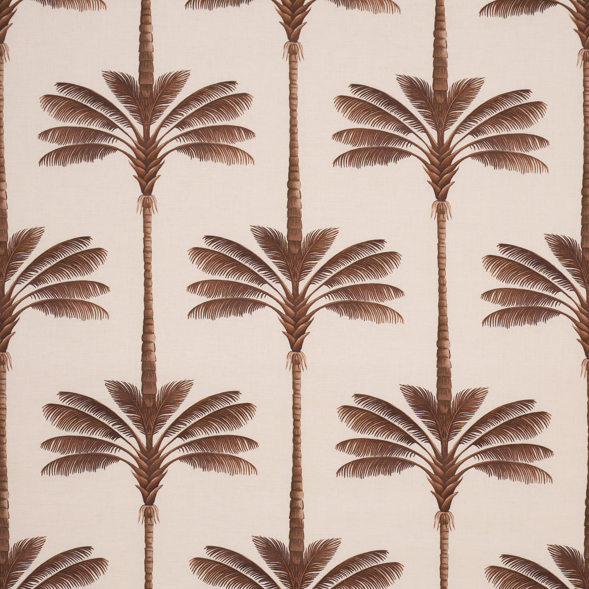 A PALM IS A PALM PRINT CHOCOLATE MEETS TOBACCO