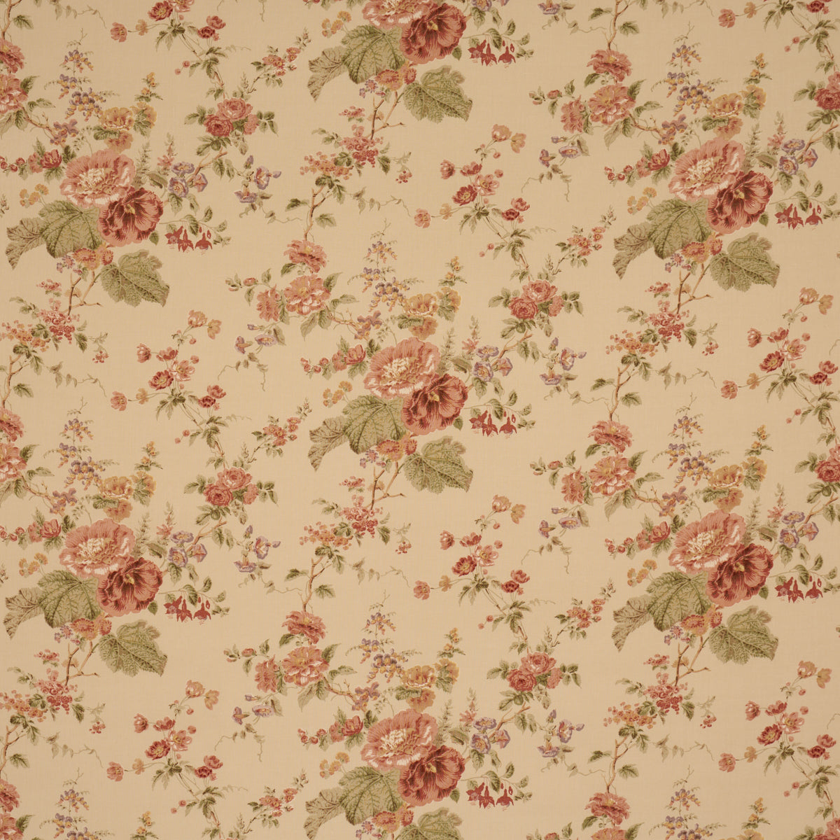 Midsummer Hollyhock Beige