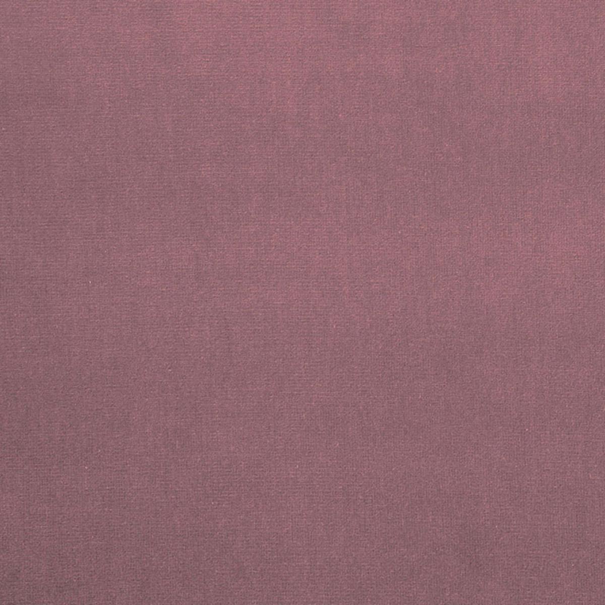 GAINSBOROUGH VELVET TULIPWOOD