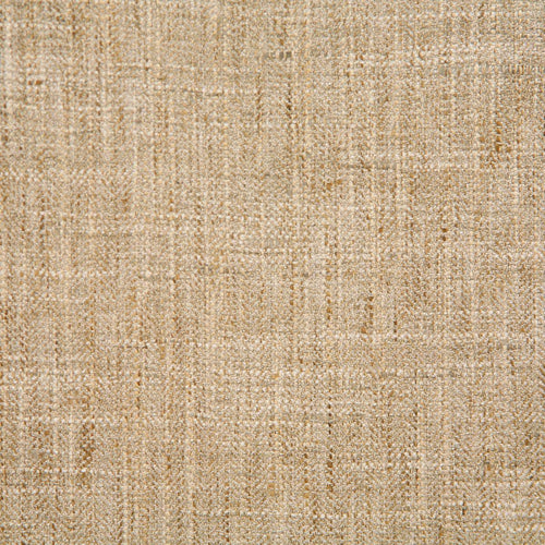 4759 ALEXANDER-RAFFIA - Atlanta Fabrics