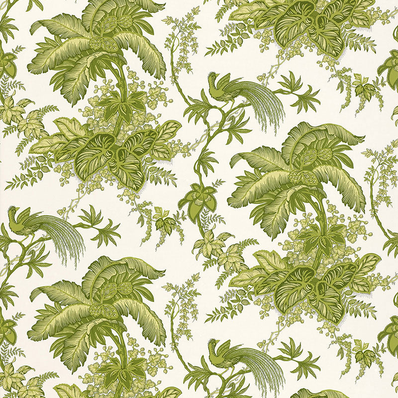 COCONUT GROVE LEAF