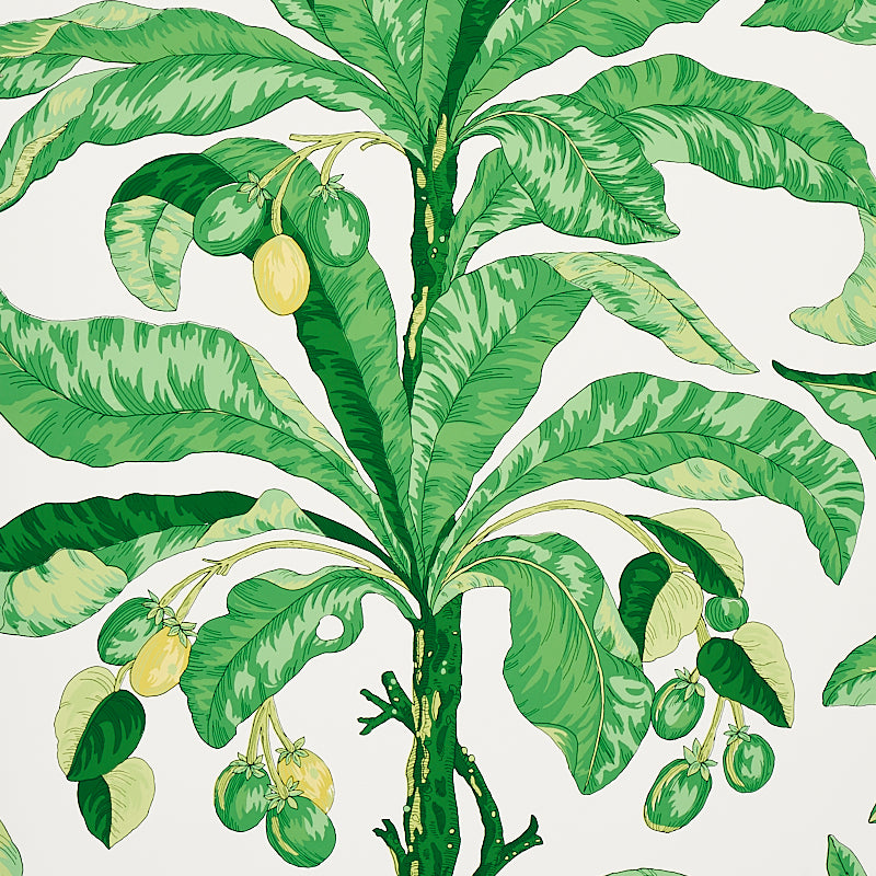 BLAIR HOUSE PALM GREEN