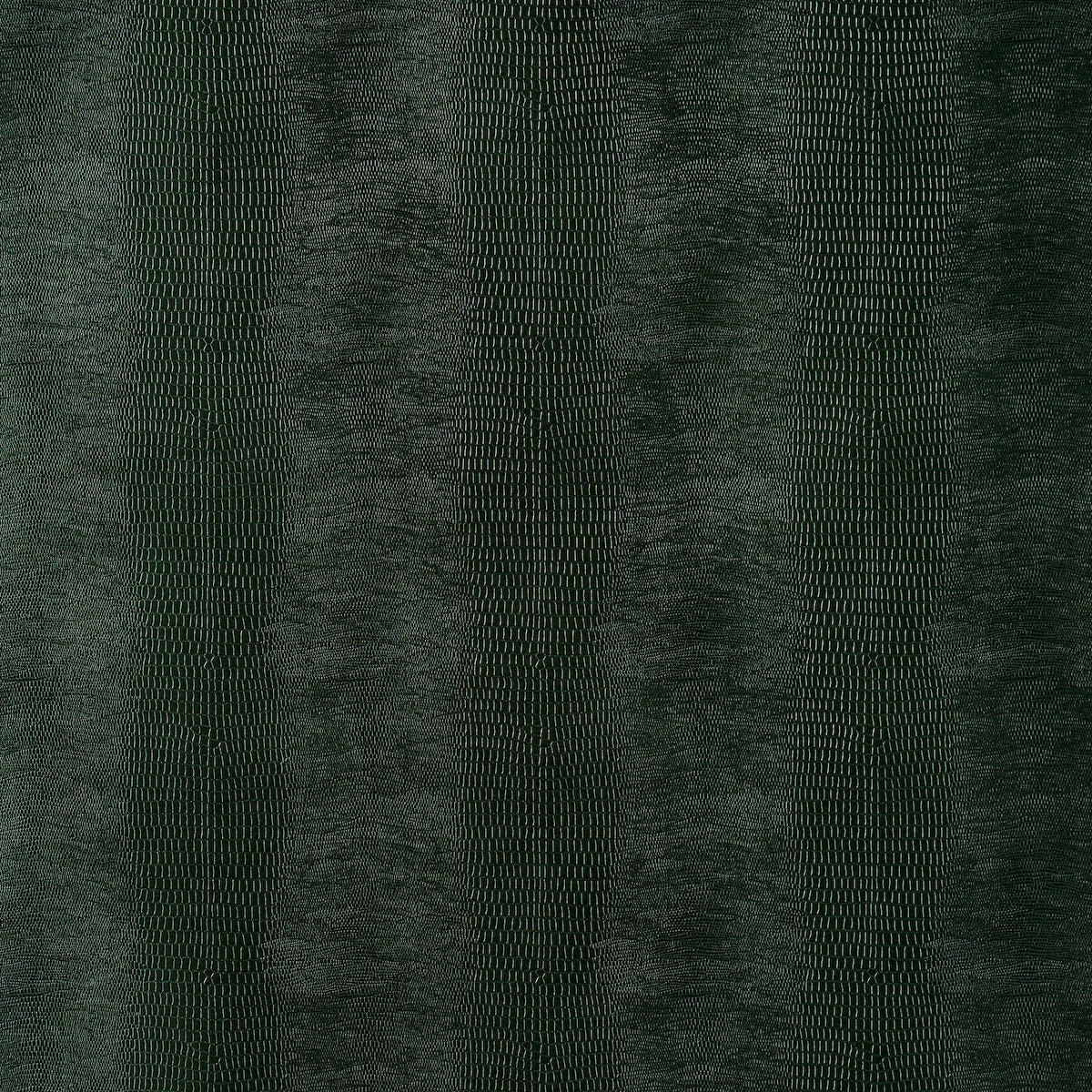 Komodo Forest Green