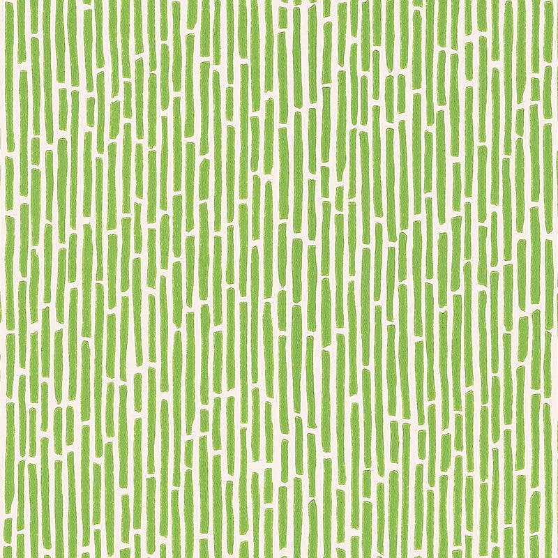 BAMBOO SPRING