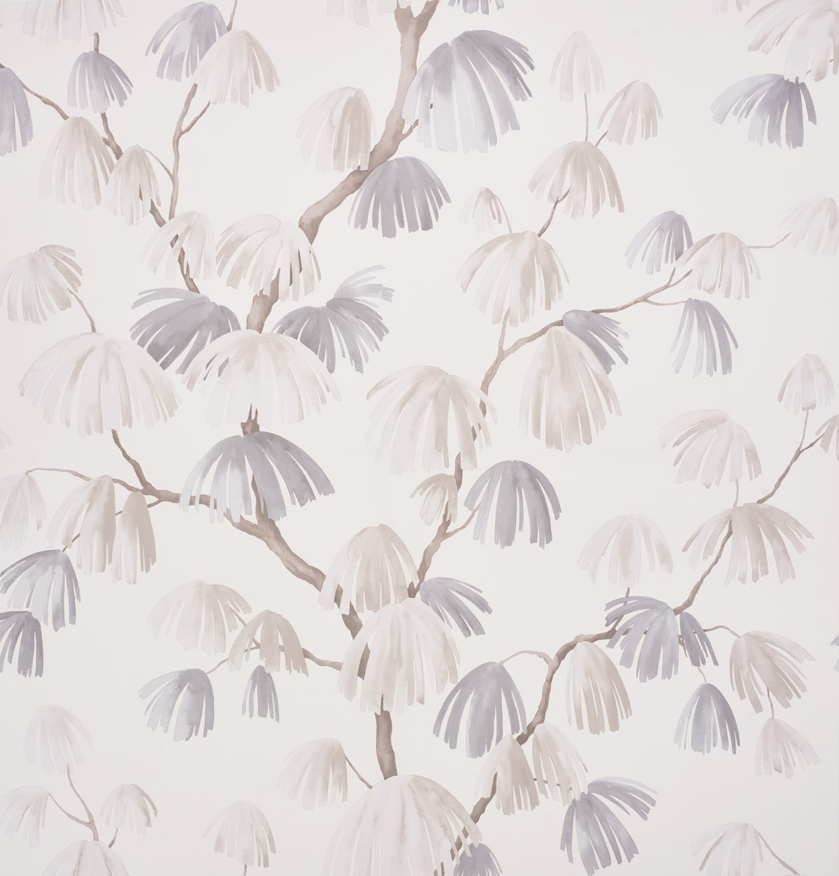 WEEPING PINE NEUTRAL