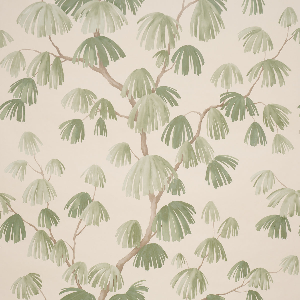 Weeping Pine Green