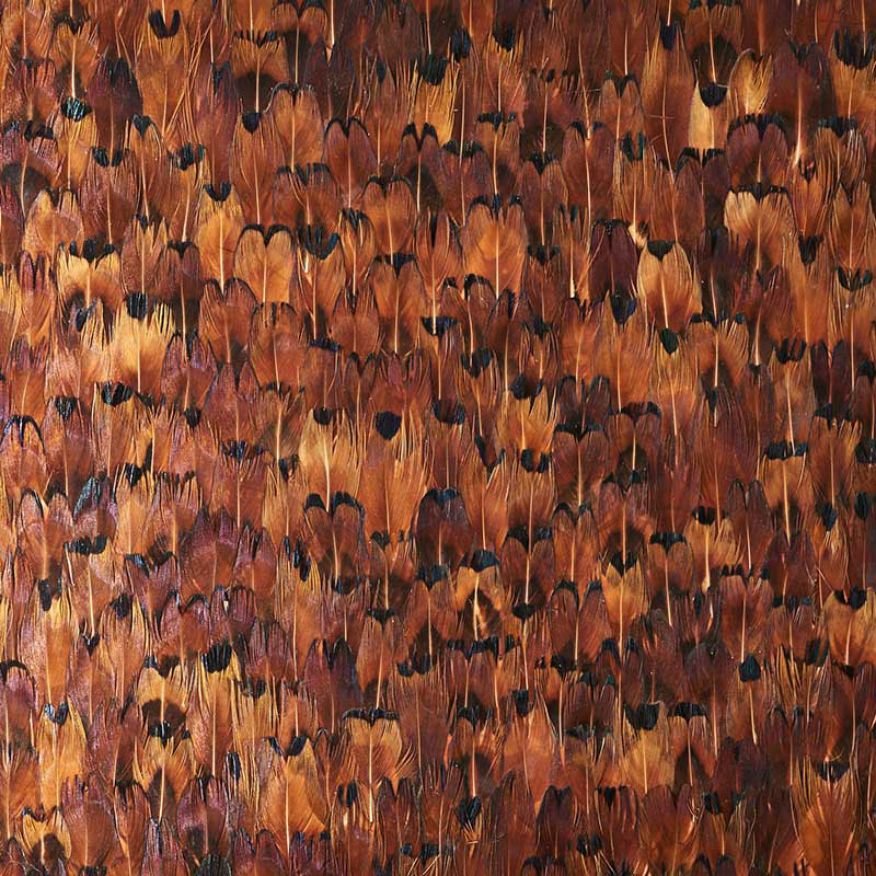 COPPER CHOCOLATE