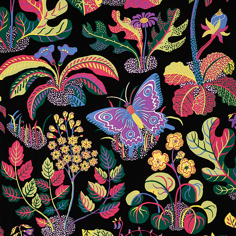 EXOTIC BUTTERFLY BLACK