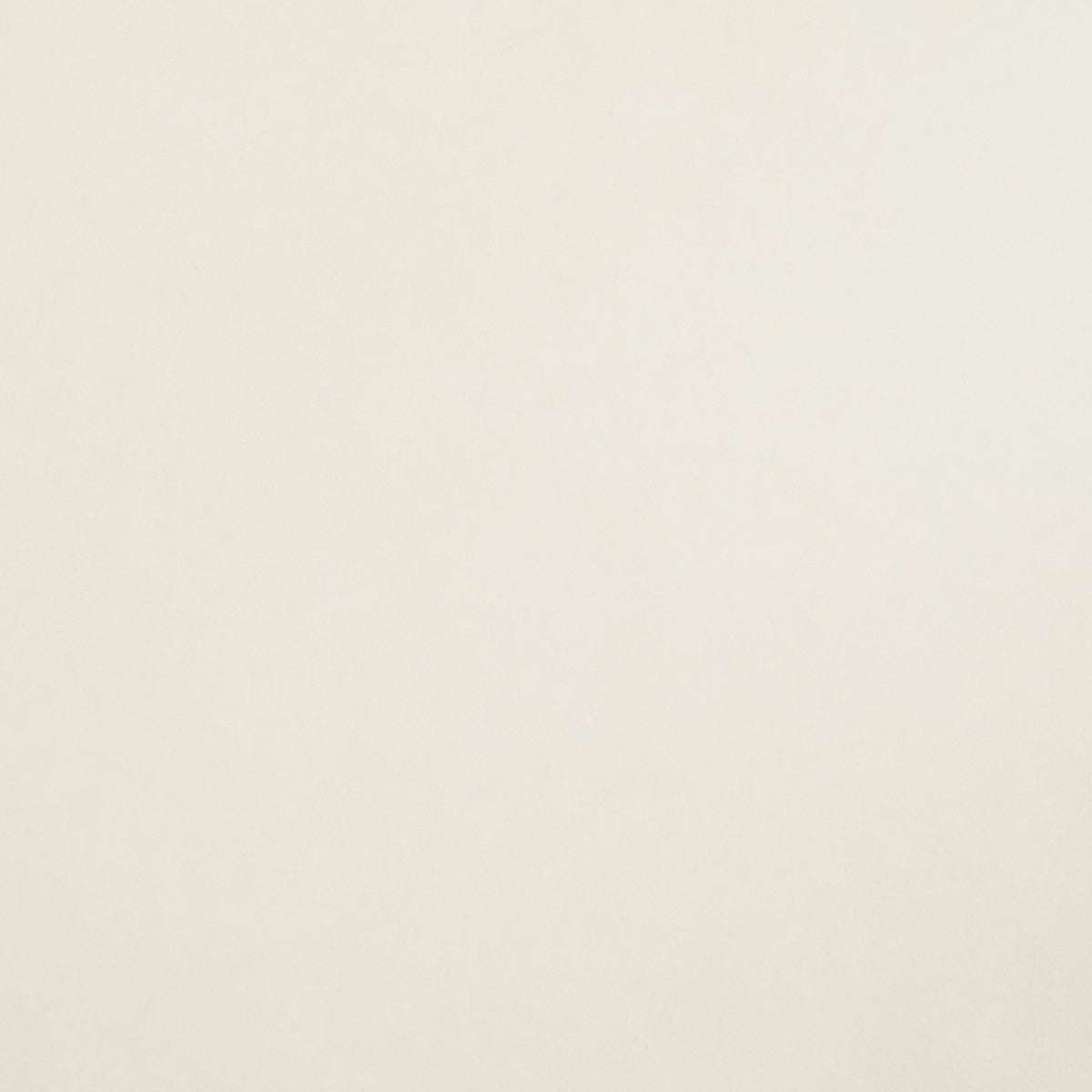 VILLA TEXTURE WHITE & IVORY