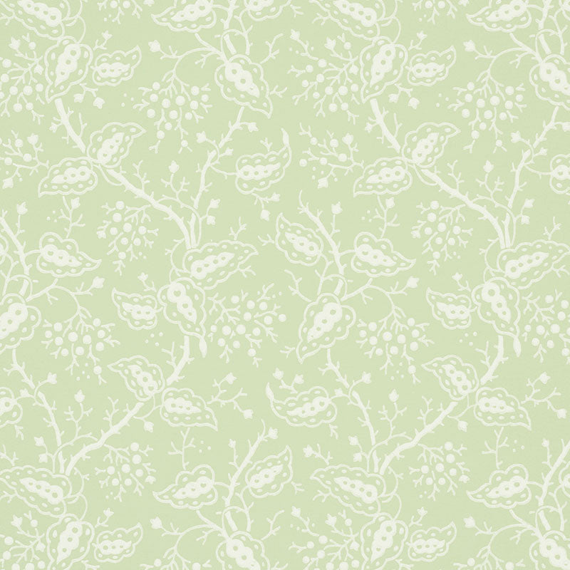 DARBY LEAF
