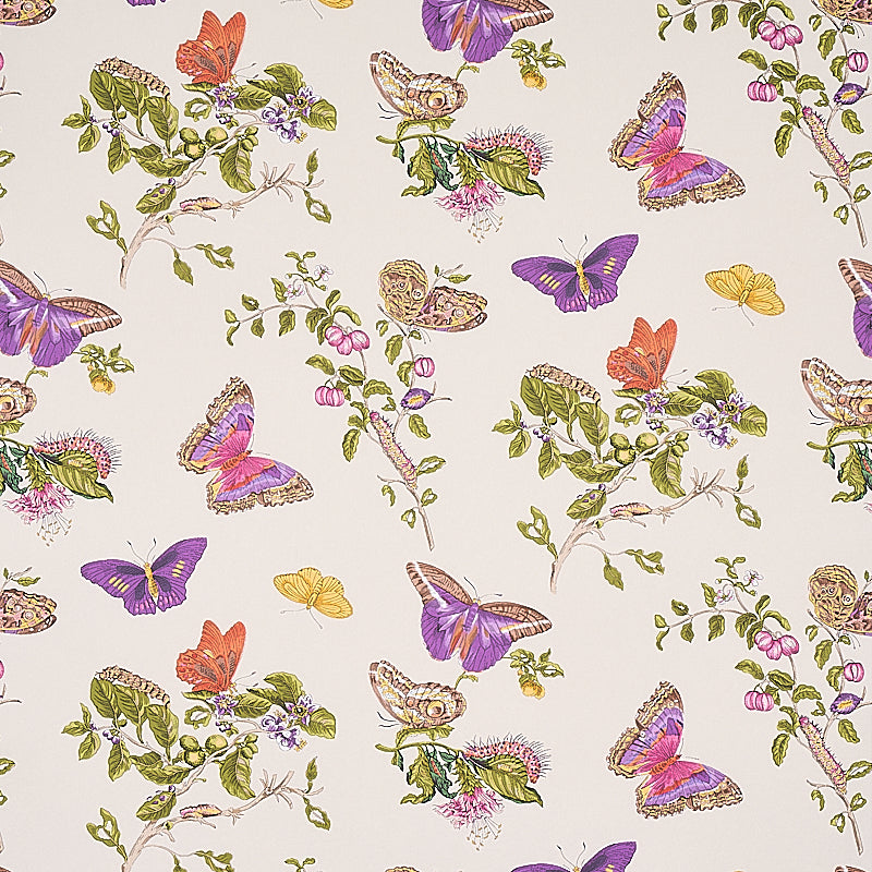 BAUDIN BUTTERFLY PURPLE