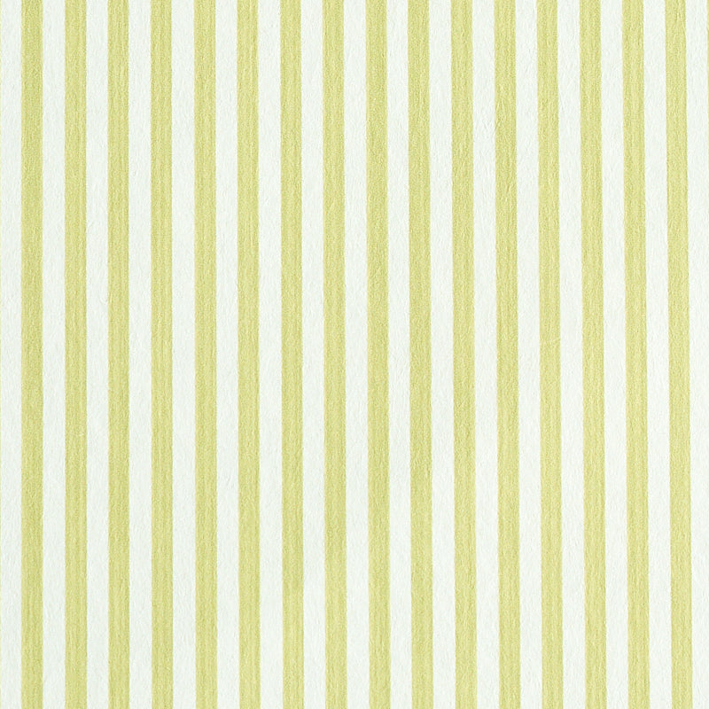 EDWIN STRIPE NARROW CITRON