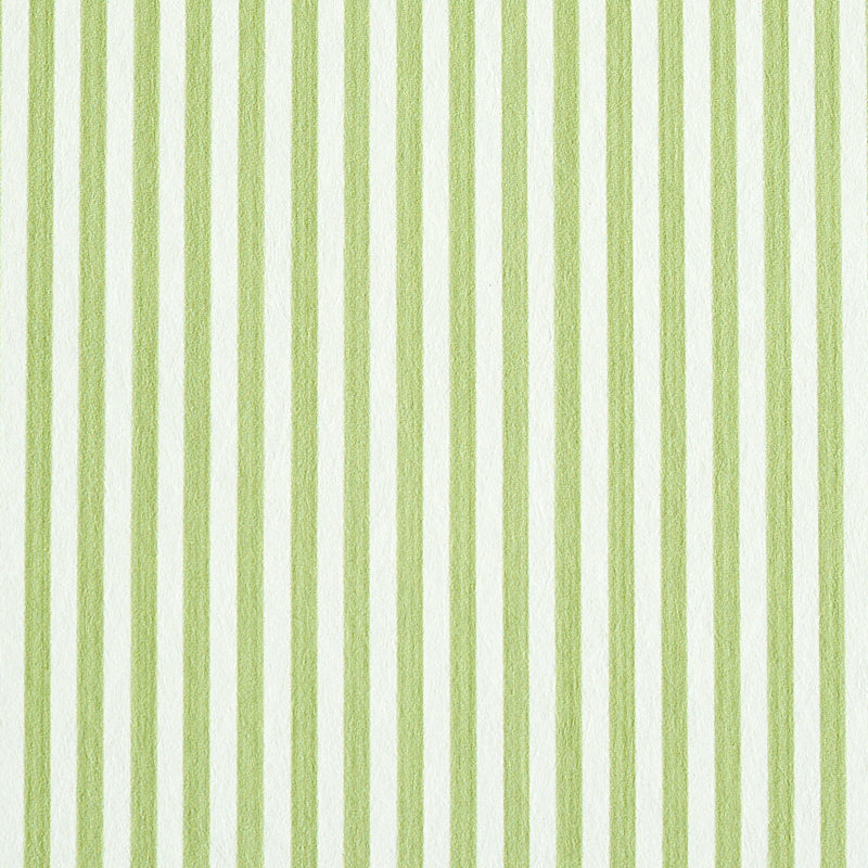 EDWIN STRIPE NARROW LEAF