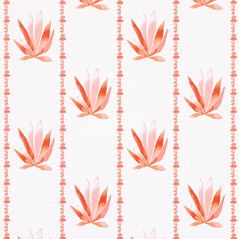 AGAVE STRIPE GRAPEFRUIT