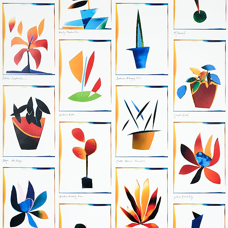 BOTANICALS SPECTRUM MULTI