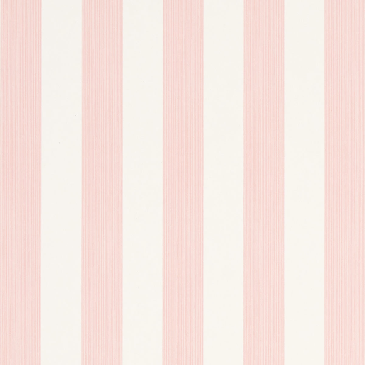 EDWIN STRIPE MEDIUM PETAL