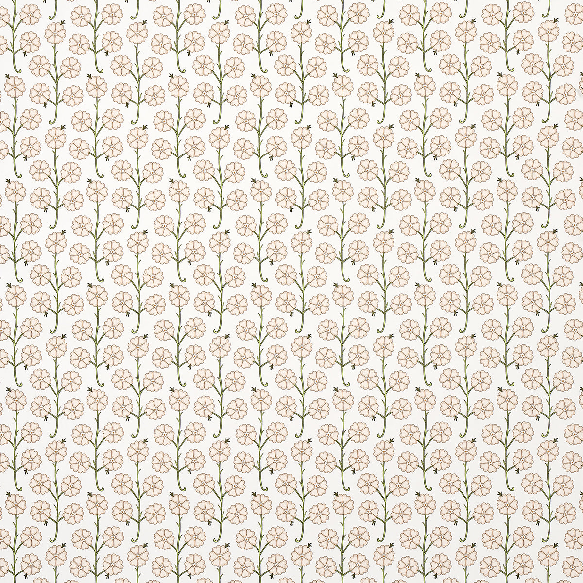 GARDENIA FLAX