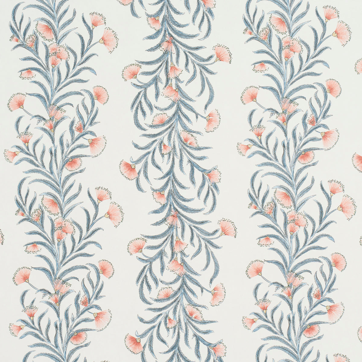 TASMANIAN MIMOSA PINK & GREY
