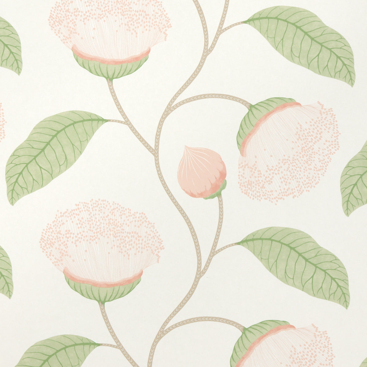 Celinda Blush