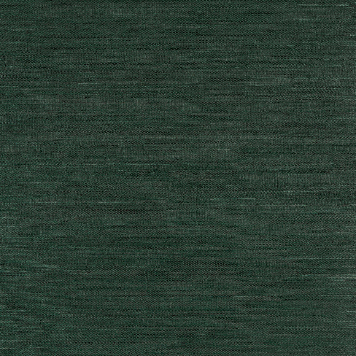 HARUKI SISAL KISMET