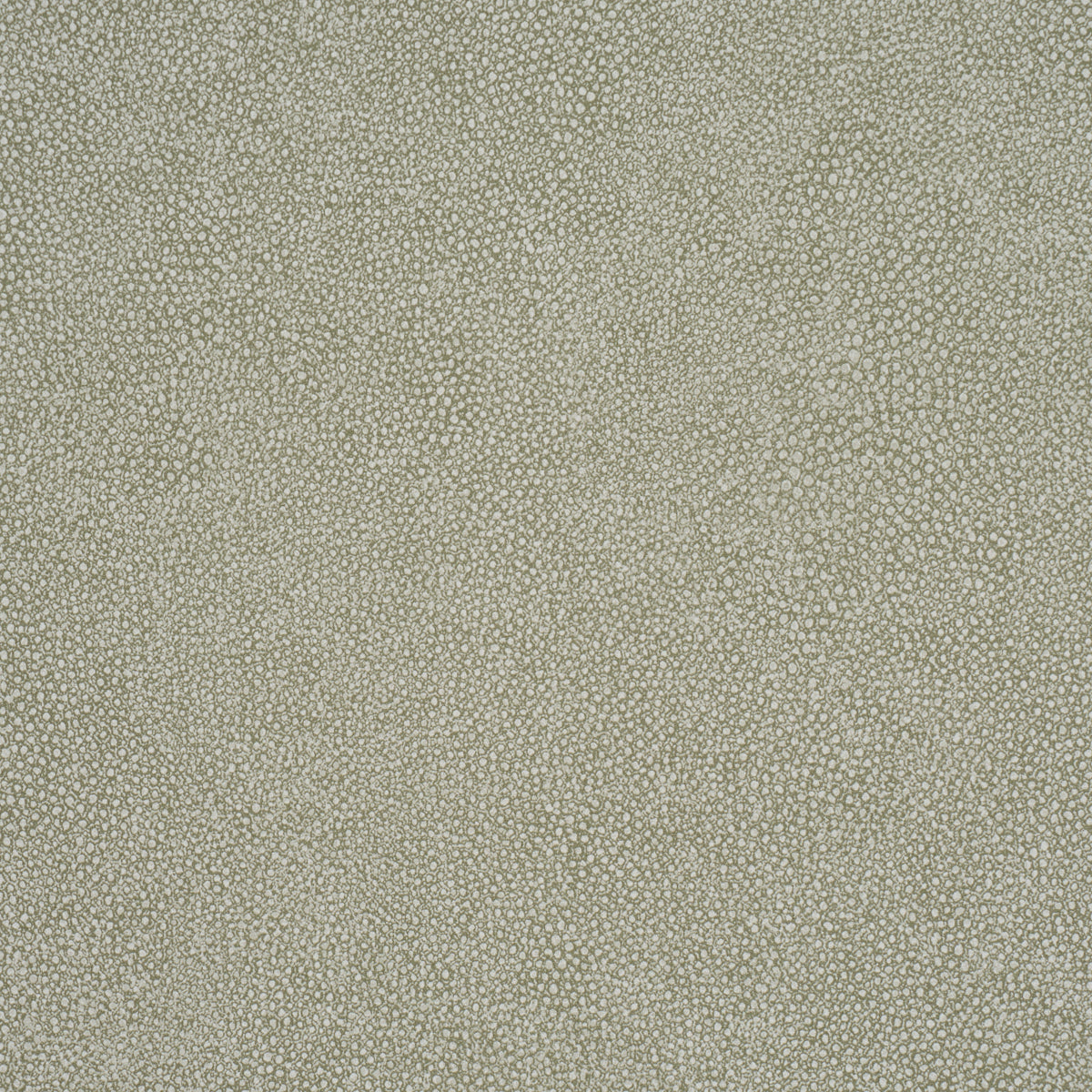 DUNBAR SHAGREEN VINYL OLIVE