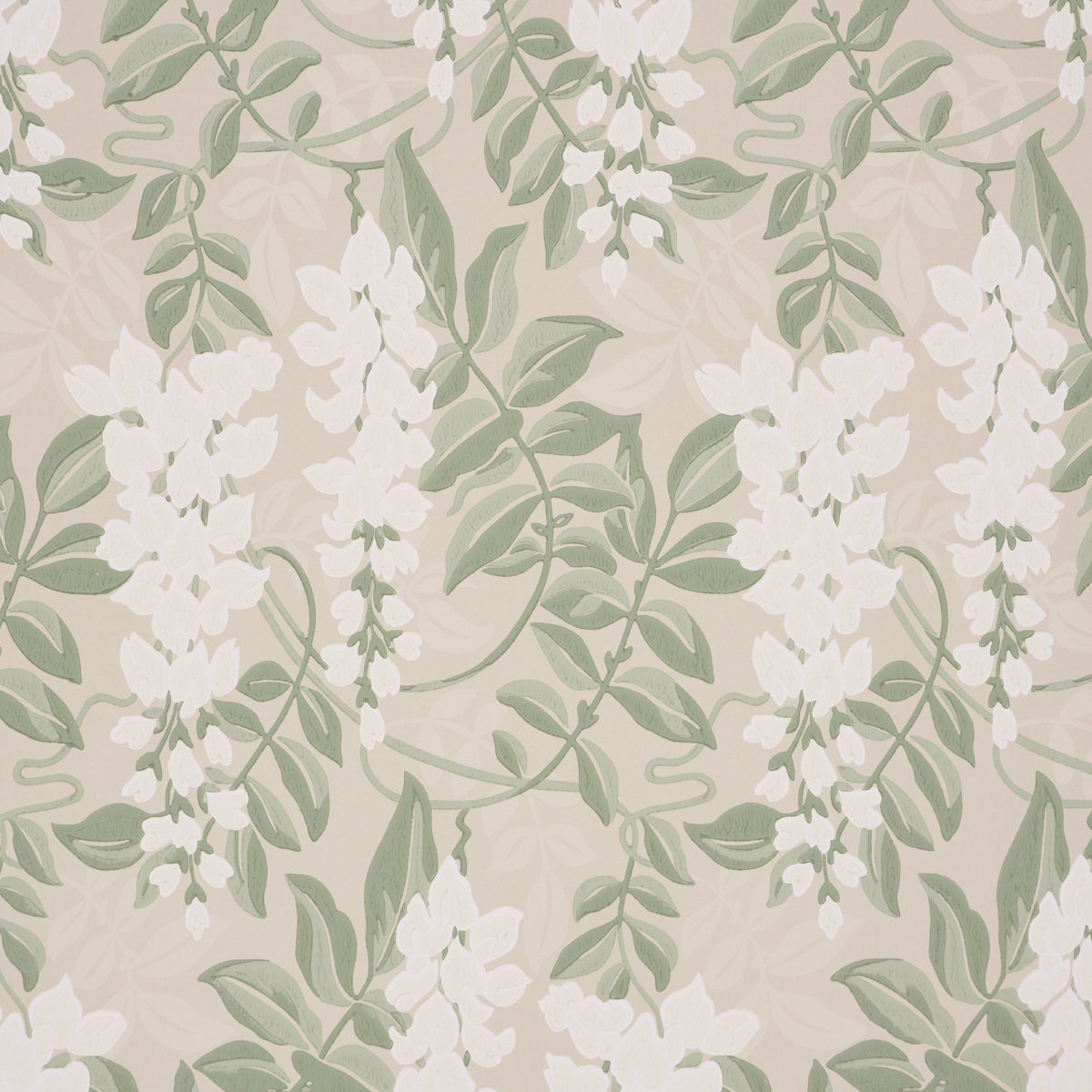 Lucia Wisteria Sage