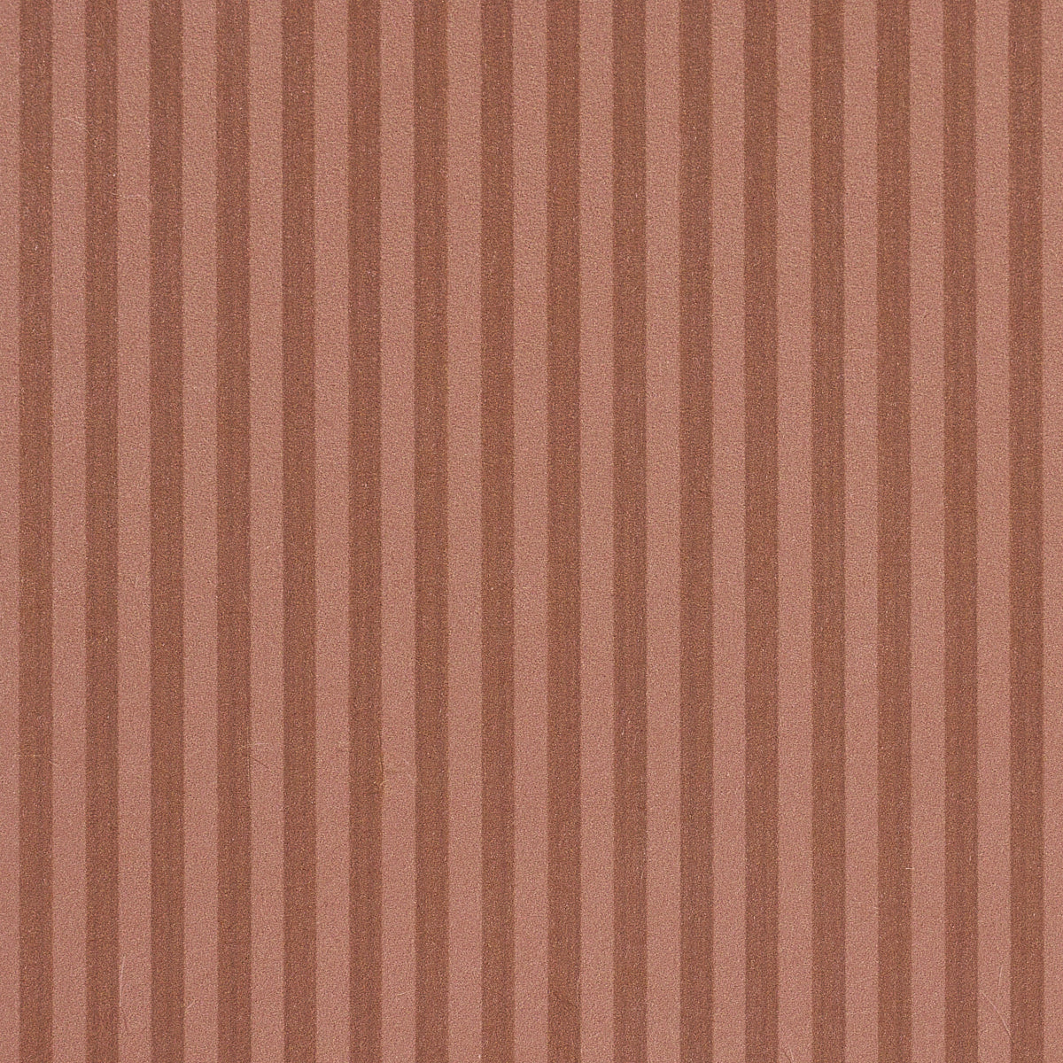 Edwin Stripe Narrow Terracotta