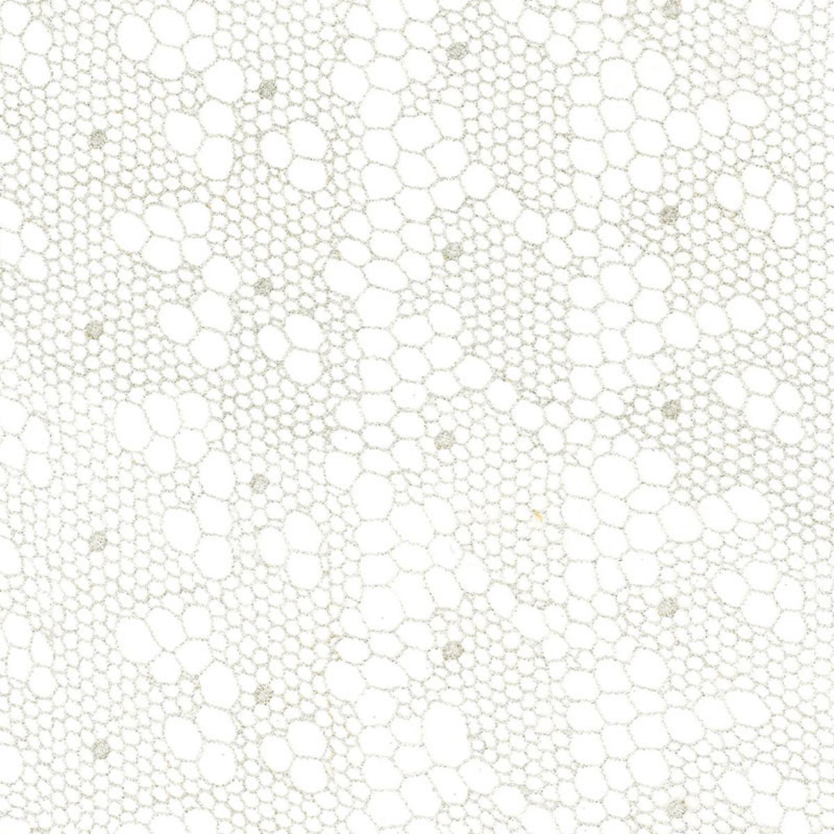 TRACERY LACE SHEER SILVER