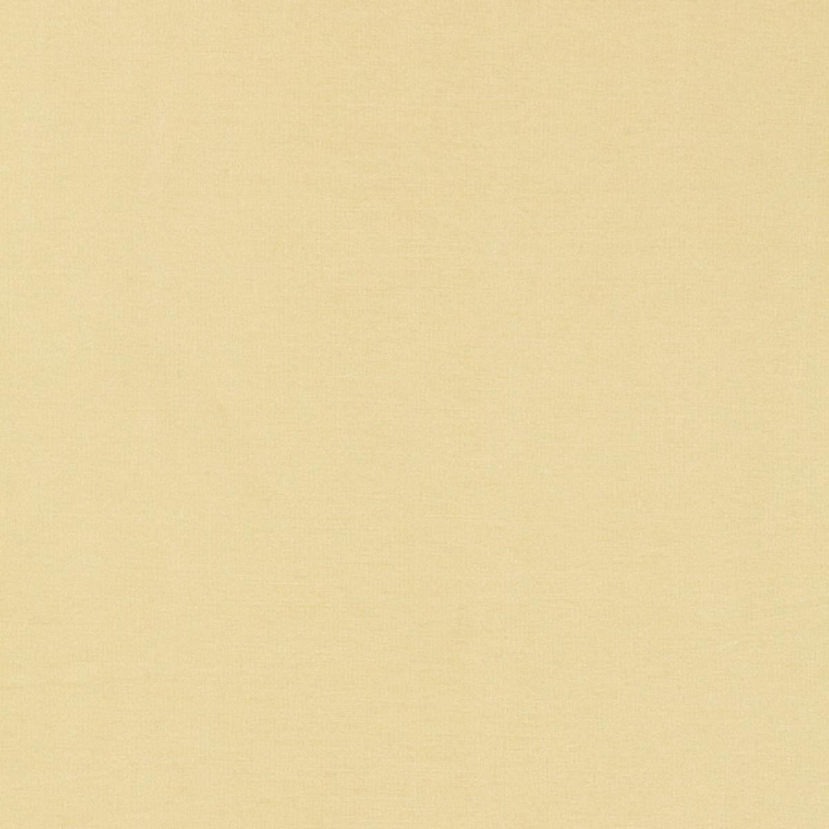 TIEPOLO SHANTUNG WEAVE IVORY
