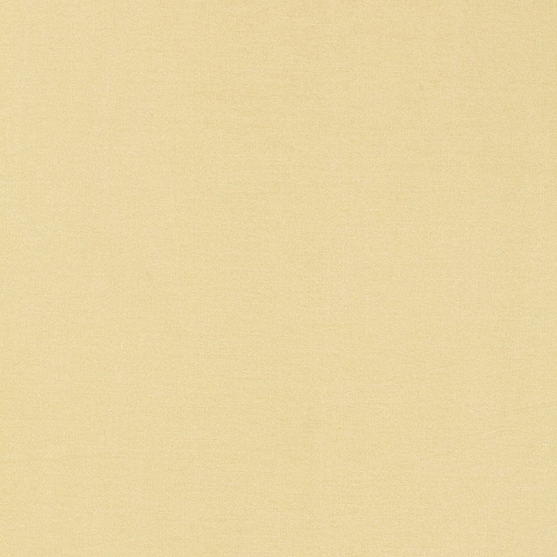TIEPOLO SHANTUNG WEAVE IVORY