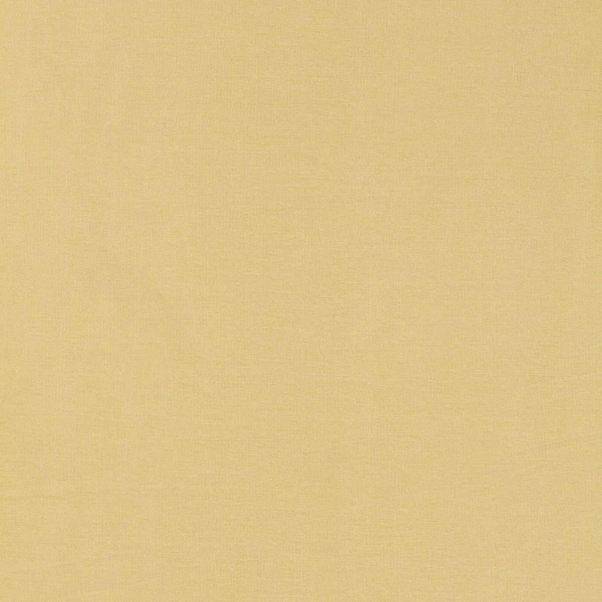 TIEPOLO SHANTUNG WEAVE CHAMPAGNE